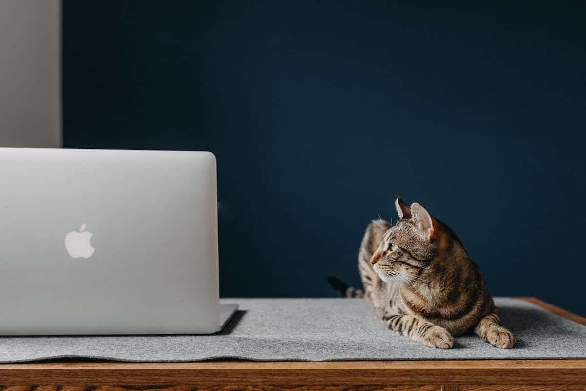 technologie animale