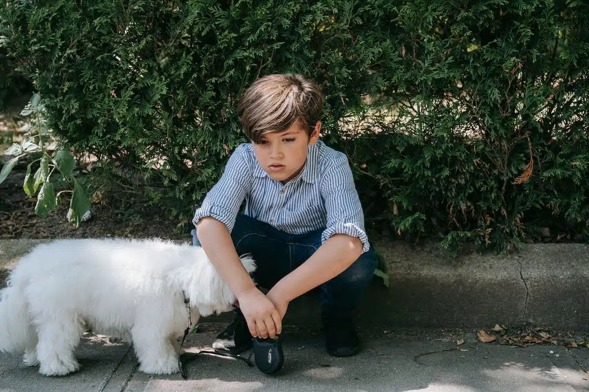 enfant  animal de compagnie