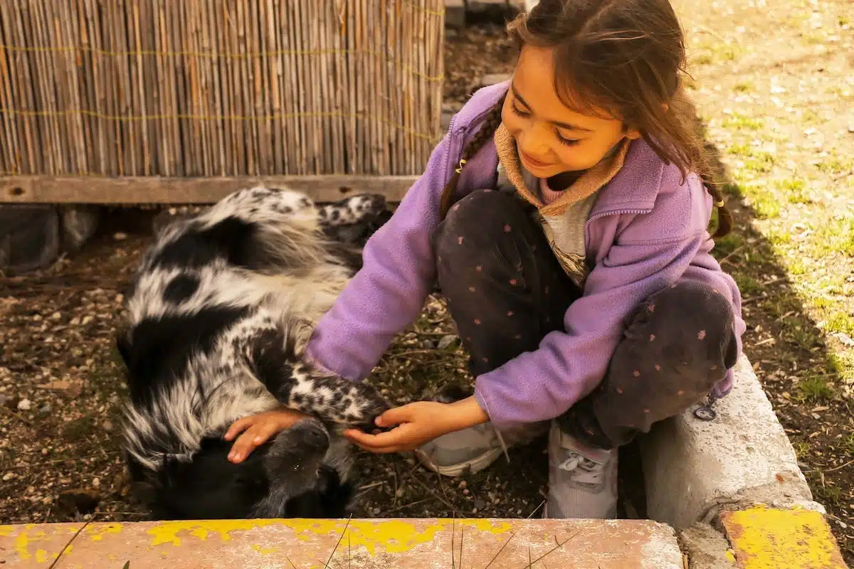 enfant  animaux