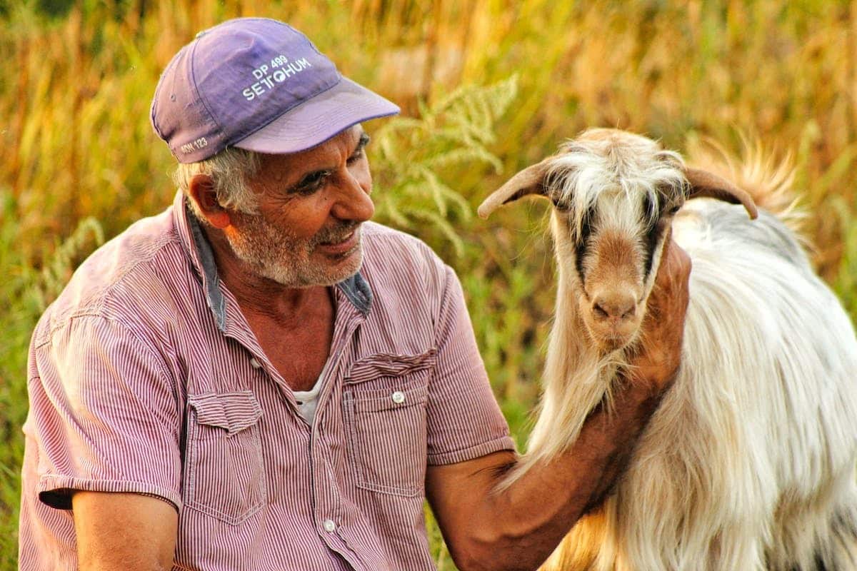 homme  animal